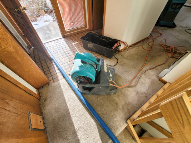 Best Water damage restoration process  in Isle Of Hope, GA