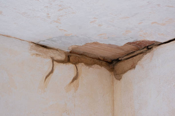 24/7 water damage repair in Isle Of Hope, GA